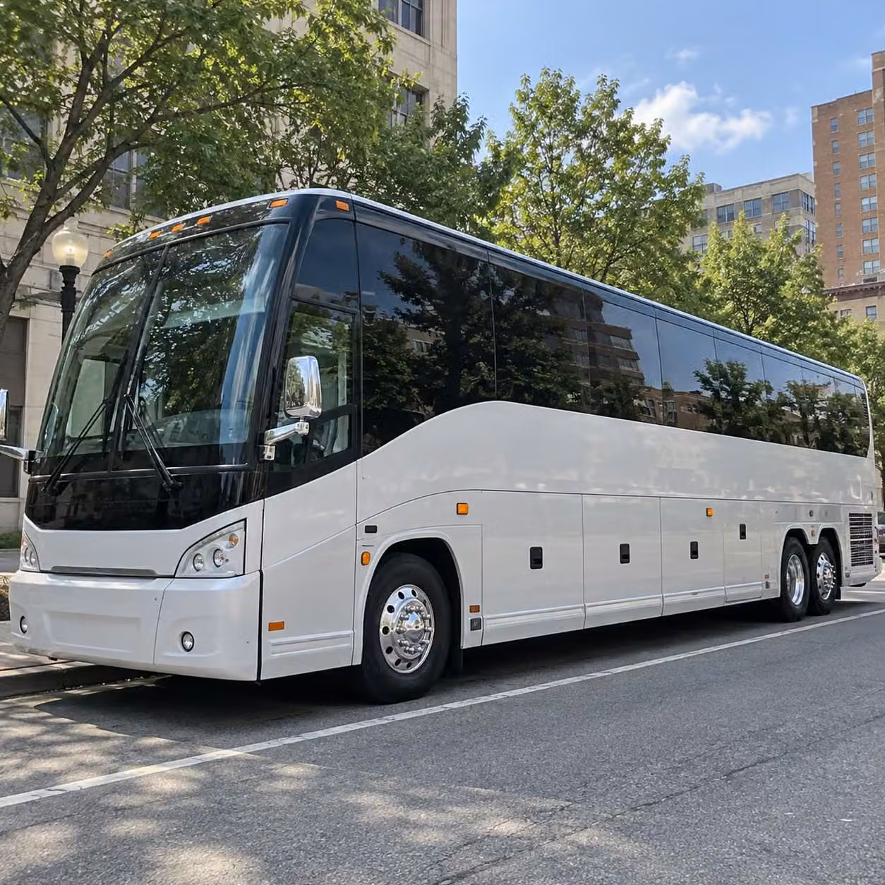 nyc field trip buses from woodbridge are easier than you think